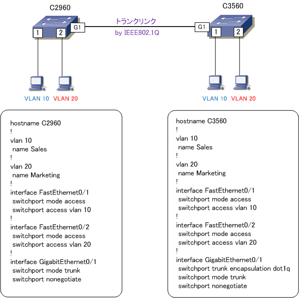 Trunk function